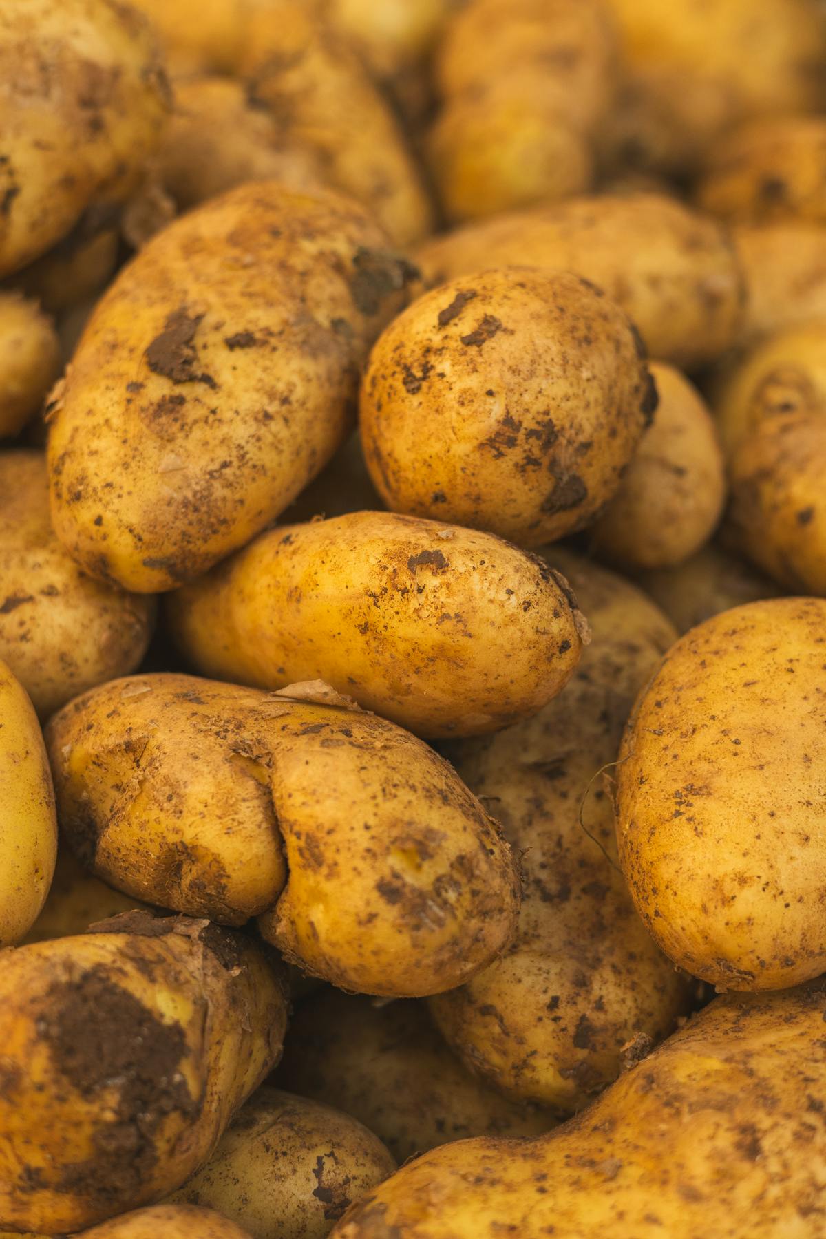Fresh potatoes stacked in a market