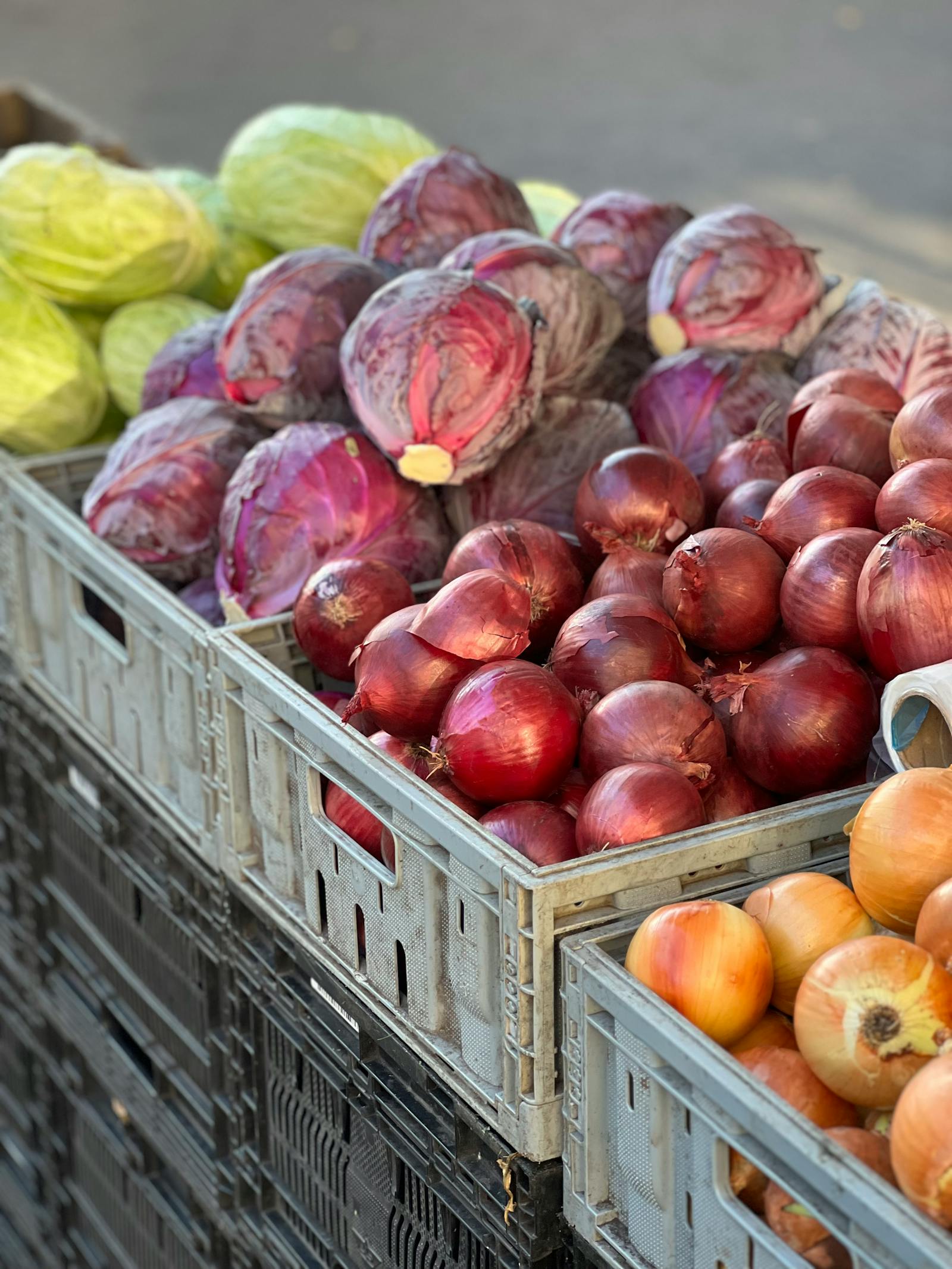 Vegetables packed in crates for dispatch