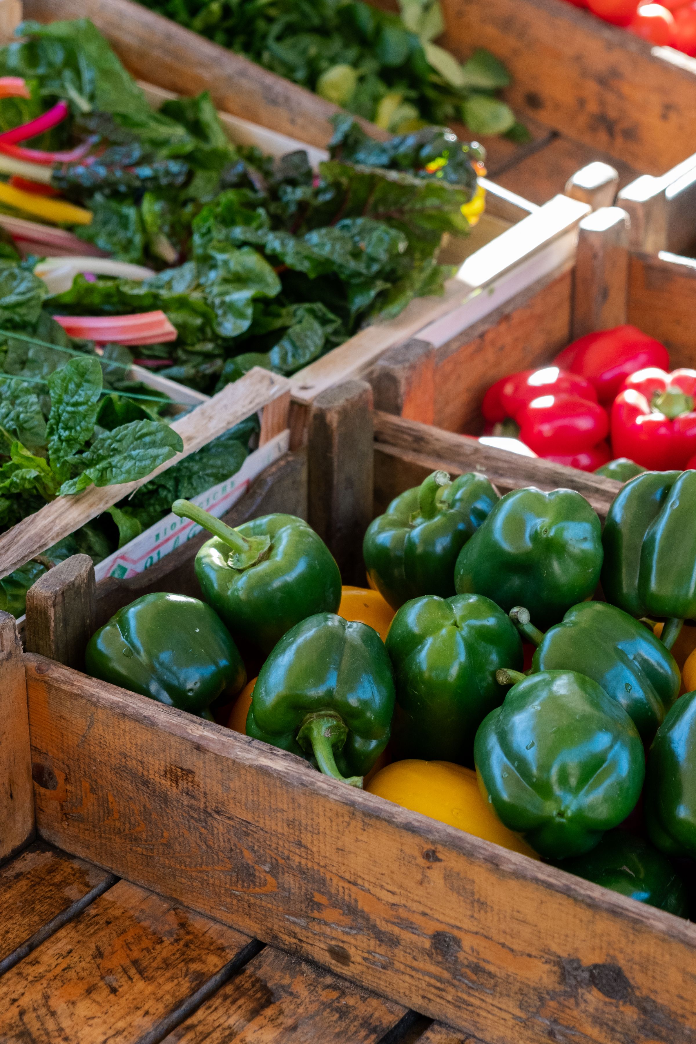 Fresh vegetables packed in wooden crates