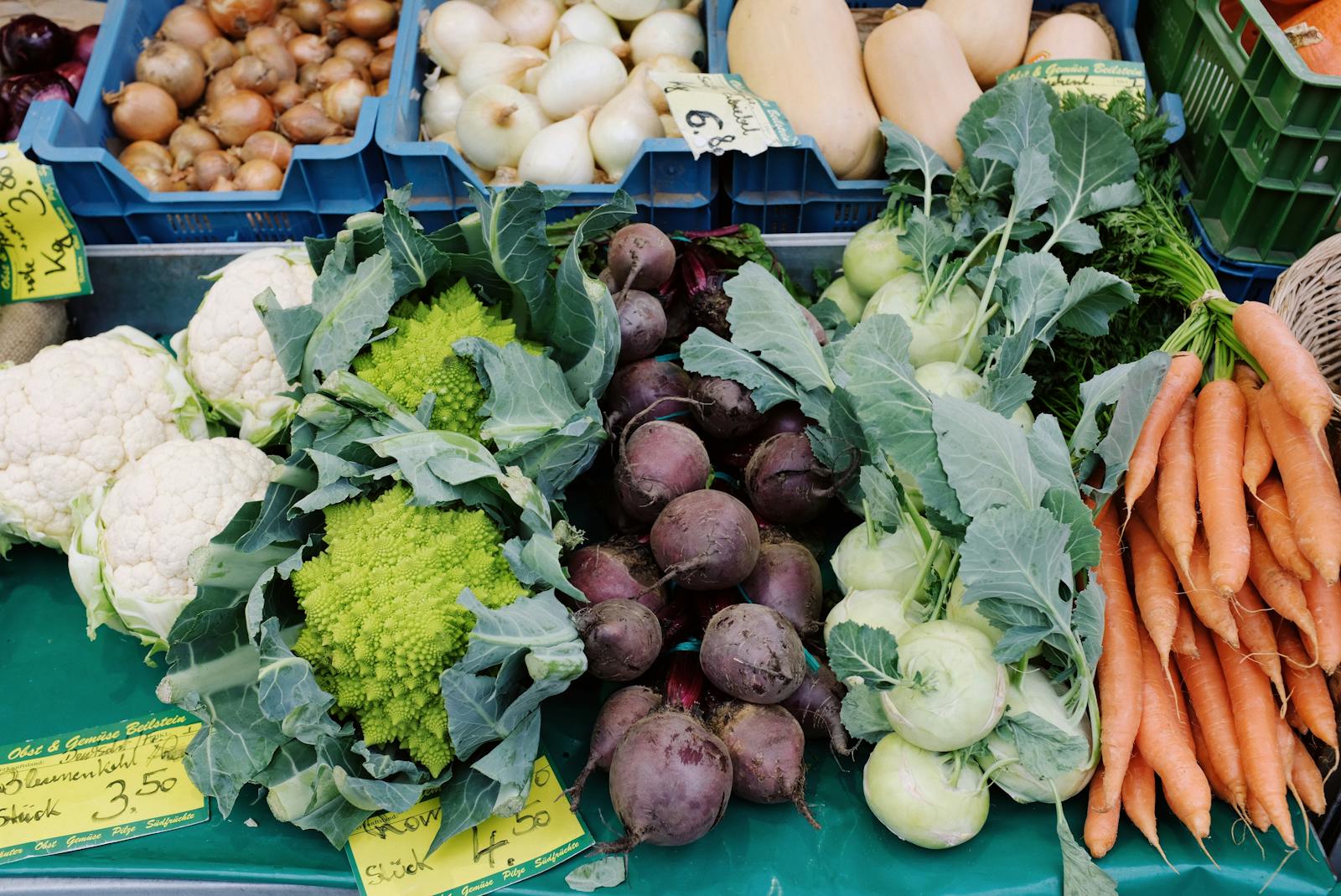 Fresh vegetables arranged for market supply